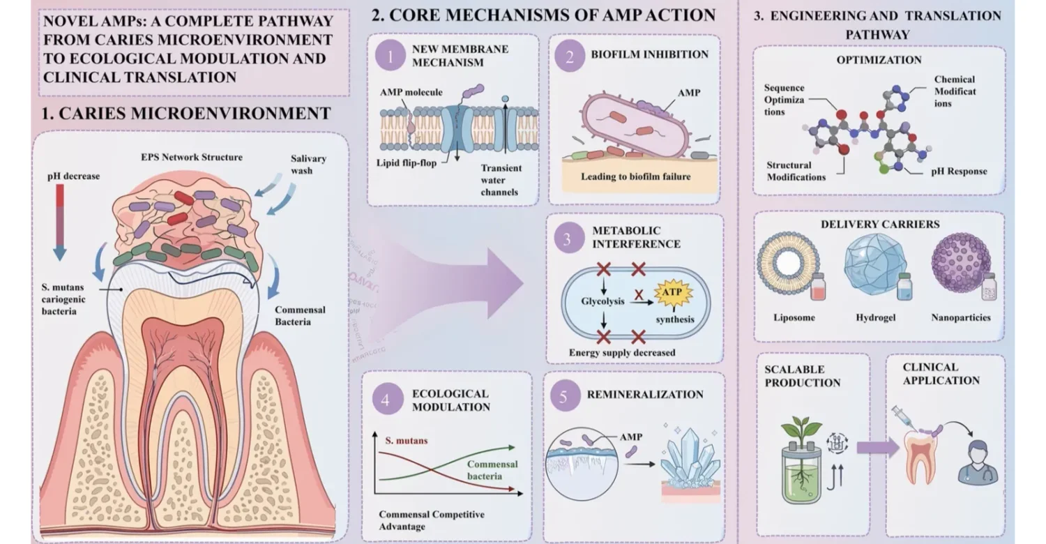 Smart Peptides and Dental Caries INFOGRAPHIC